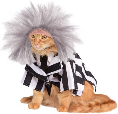 Show full view: Rubie's Costume Company Beetlejuice Dog & Cat Costume, Small slide 5 of 10