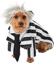 Rubie's Costume Company Beetlejuice Dog & Cat Costume, Medium