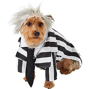 Rubie's Costume Company Beetlejuice Dog & Cat Costume, Medium
