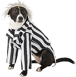 Rubie's Costume Company Beetlejuice Dog & Cat Costume, Large