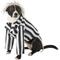 Show in main carousel: Rubie's Costume Company Beetlejuice Dog & Cat Costume, Large slide 1 of 8