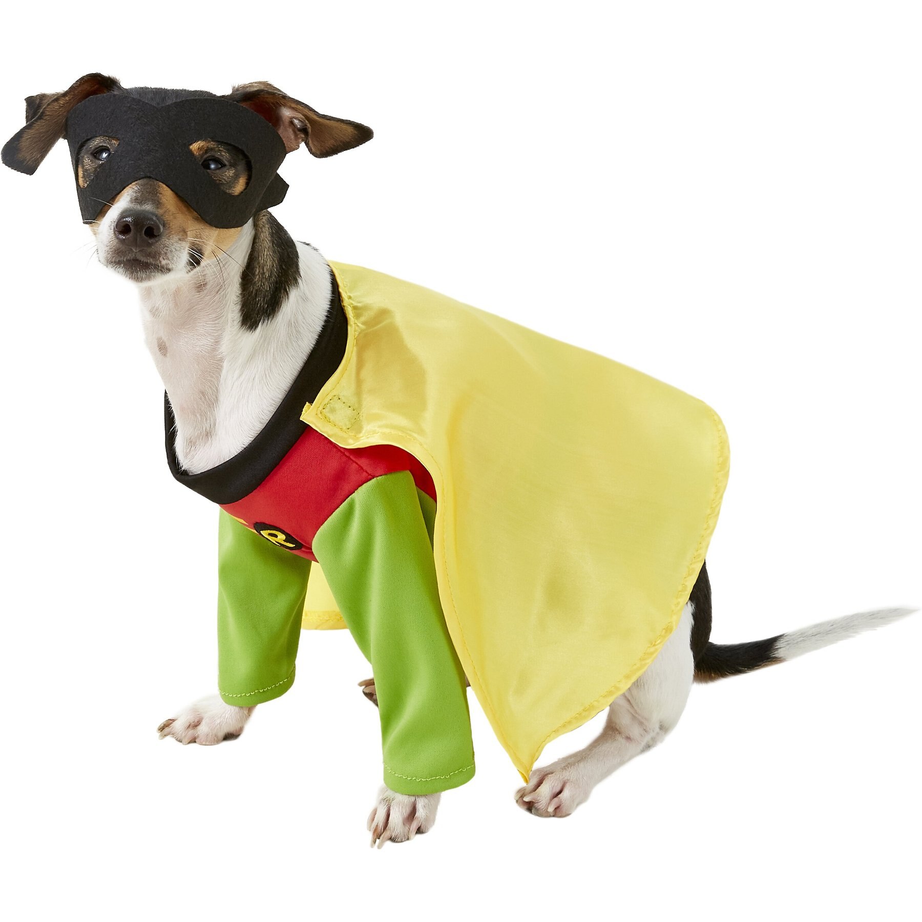 RUBIE'S COSTUME COMPANY Robin Dog & Cat Costume, Small - Chewy.com