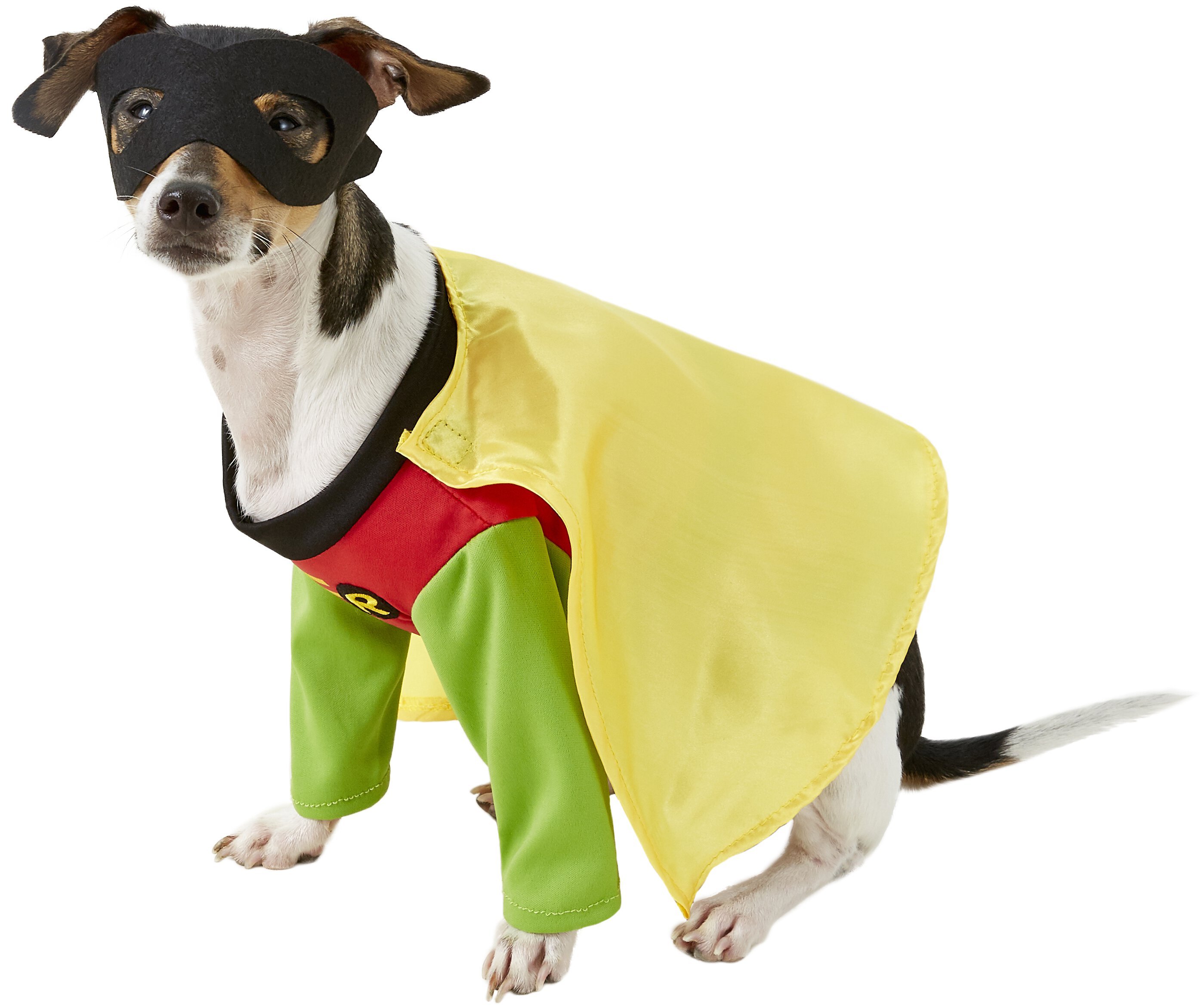 Robin Dog Questions and Answers about RUBIE'S COSTUME COMPANY Robin Dog & Cat Costume
