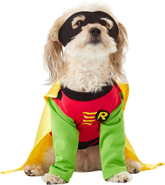 RUBIE'S COSTUME COMPANY Robin Dog & Cat Costume, Medium - Chewy.com