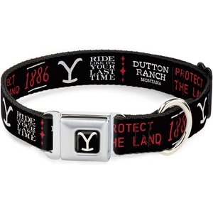 Buckle-Down Paramount Network Yellowstone Text & Y Logo Metal Seatbelt Buckle Polyester Dog Collar, Weathered Black/Orange