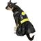 Show in main carousel: Rubie's Costume Company Batgirl Dog & Cat Costume, Large slide 1 of 8