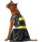 Show in main carousel: Rubie's Costume Company Batgirl Dog & Cat Costume, X-Large slide 1 of 8