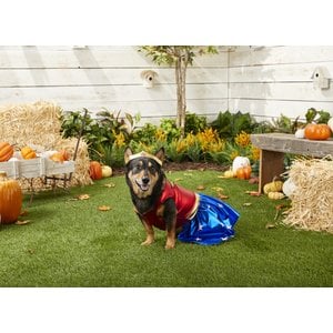 Rubie's Costume Company Wonder Woman Dog & Cat Costume, Small