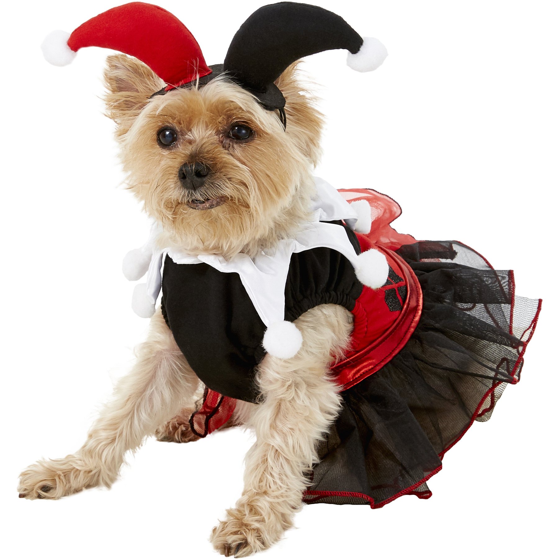 Rubie's Costume Company Harley Quinn Dog & Cat Costume, Small