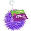 Gnawsome Squeaker Ball Dog Toy, Color Varies, Small