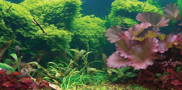 SPORN Static Cling Tropical Aquarium Background, Small 