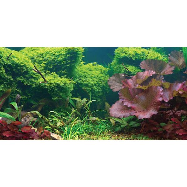 SPORN Static Cling Ocean Floor Aquarium Background, Medium