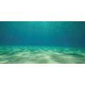 Sporn Static Cling Ocean Floor Aquarium Background, Medium