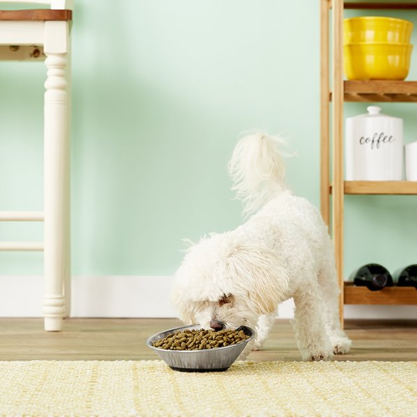 Show full view: OurPets Tilt-A-Bowl Rubber-Bonded Non-Skid Stainless Steel Dog Bowl, 1-cup slide 2 of 5