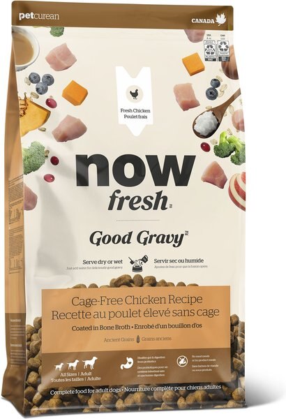 Now Fresh Good Gravy Ancient Grains Adult Chicken Recipe Dry Dog Food