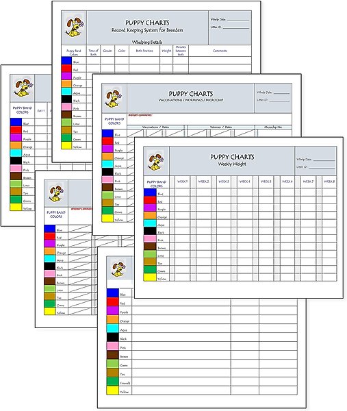 Puppies in Bloom Color Coordinated Breeder Record Keeping Charts slide 1 of 8