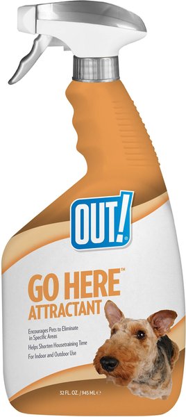 How to Train a Dog to Pee Outside: Easy Steps Guide