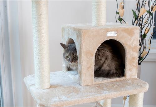 Show full view: GleePet Faux Fur Covered, Real Wood Cat Tree & Condo, Beige, 57-in slide 6 of 13