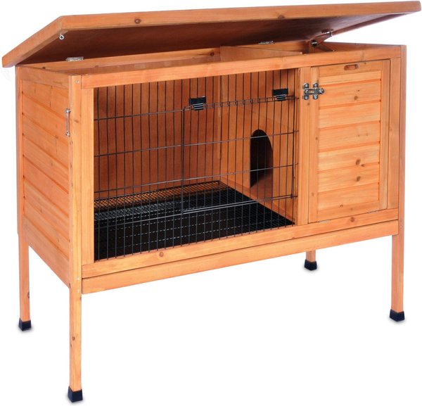 chewy rabbit hutch