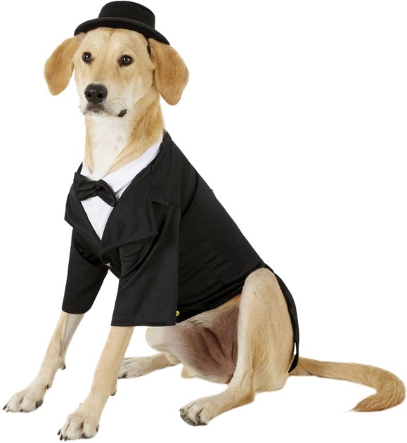 RUBIE'S COSTUME COMPANY Dapper Dog & Cat Costume, X-Large - Chewy.com