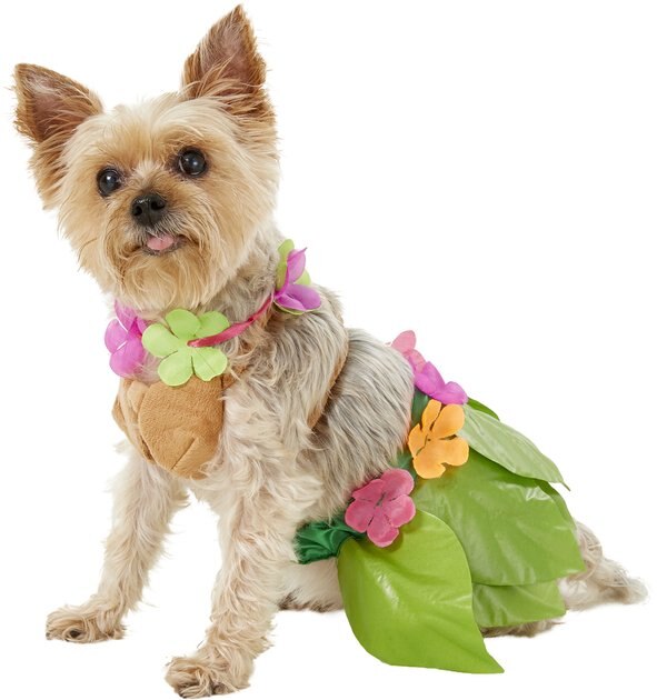 Hula Girl Dog \u0026 Cat Costume 
