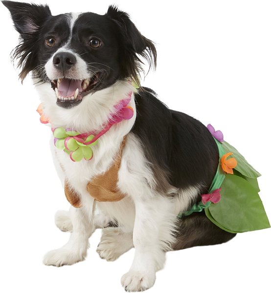 Rubie's Costume Company Hula Girl Dog & Cat Costume, Medium slide 1 of 8