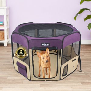 Dog Kennels vs Crates: How to Safely Keep Your Dog Contained – Dogster