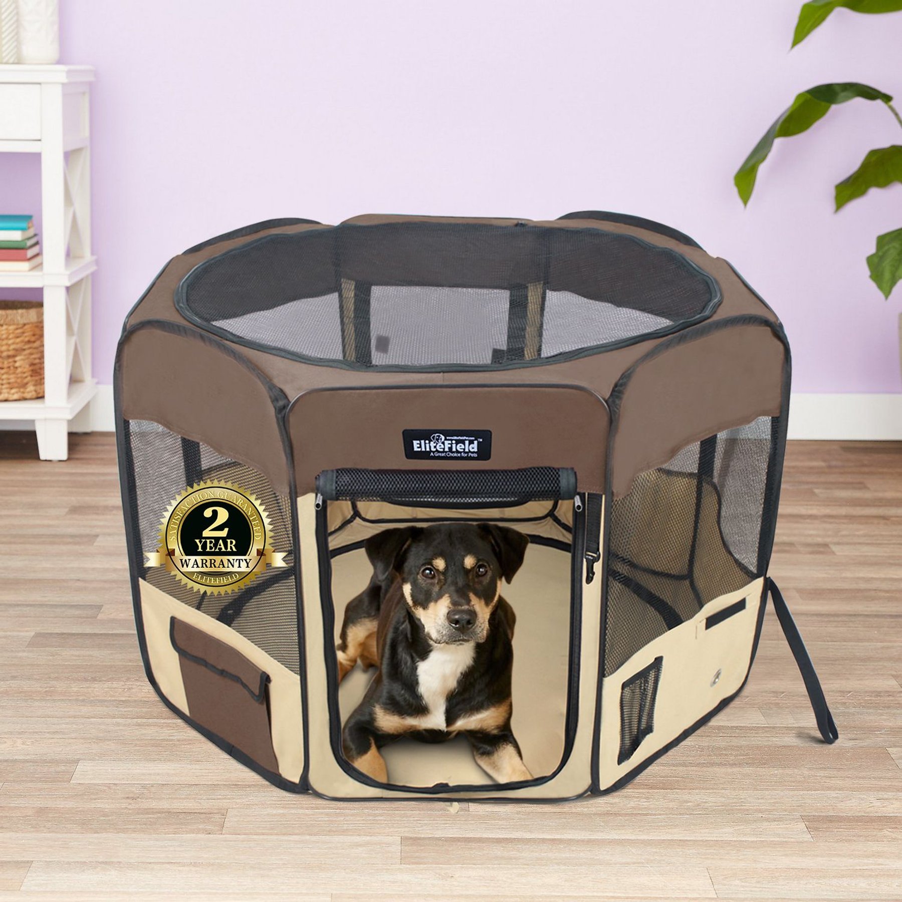 Chewy fashion puppy playpen