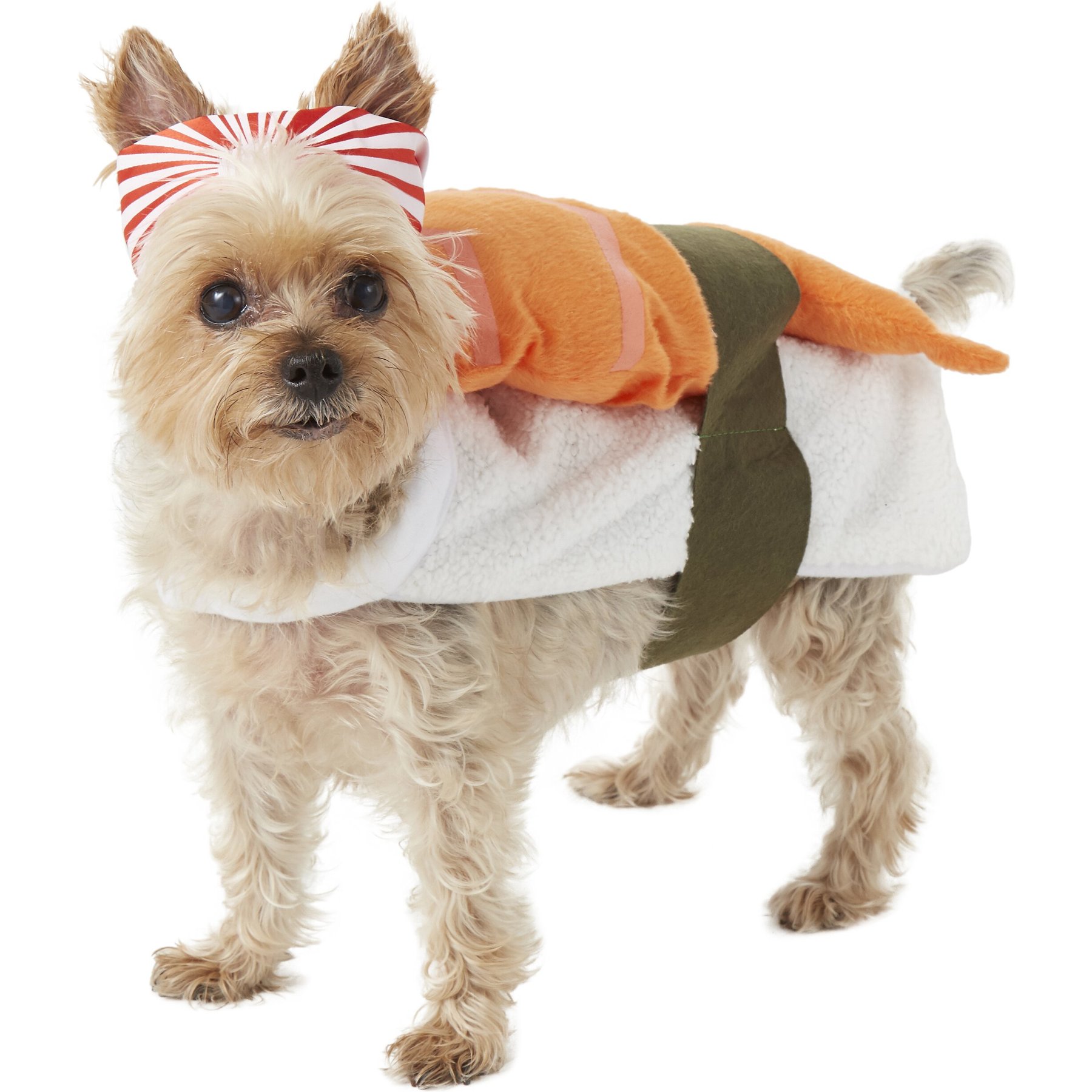 Frisco Sushi Dog & Cat Costume
