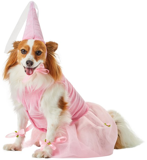 dog princess costume