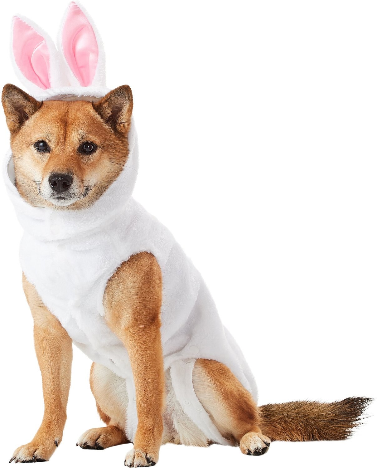 RUBIE'S COSTUME COMPANY Bunny Dog & Cat Costume, Medium