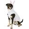 Show in main carousel: Rubie's Costume Company Bunny Dog & Cat Costume, Large slide 1 of 7