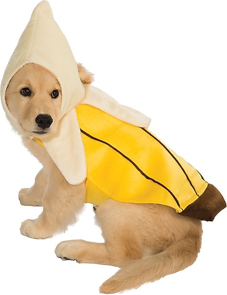 Show full view: Rubie's Costume Company Banana Dog & Cat Costume, Large slide 1 of 8