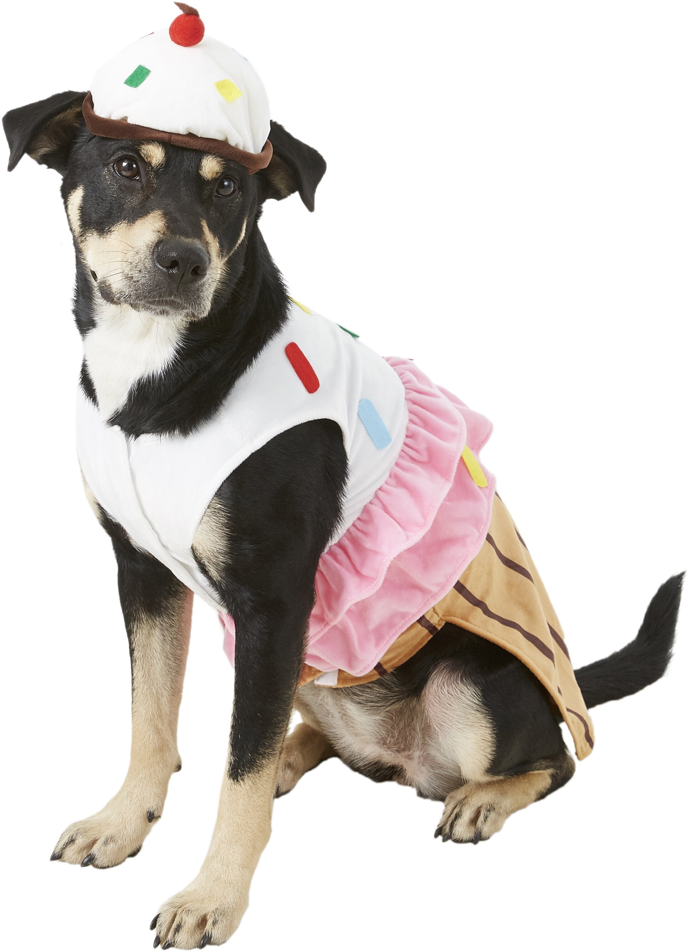 Rubie's Costume Company Cupcake Dog & Cat Costume