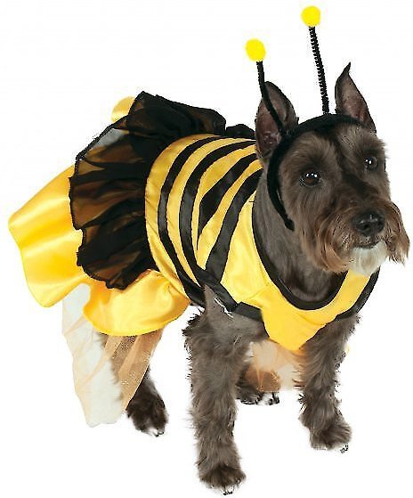 bumble bee dog costume