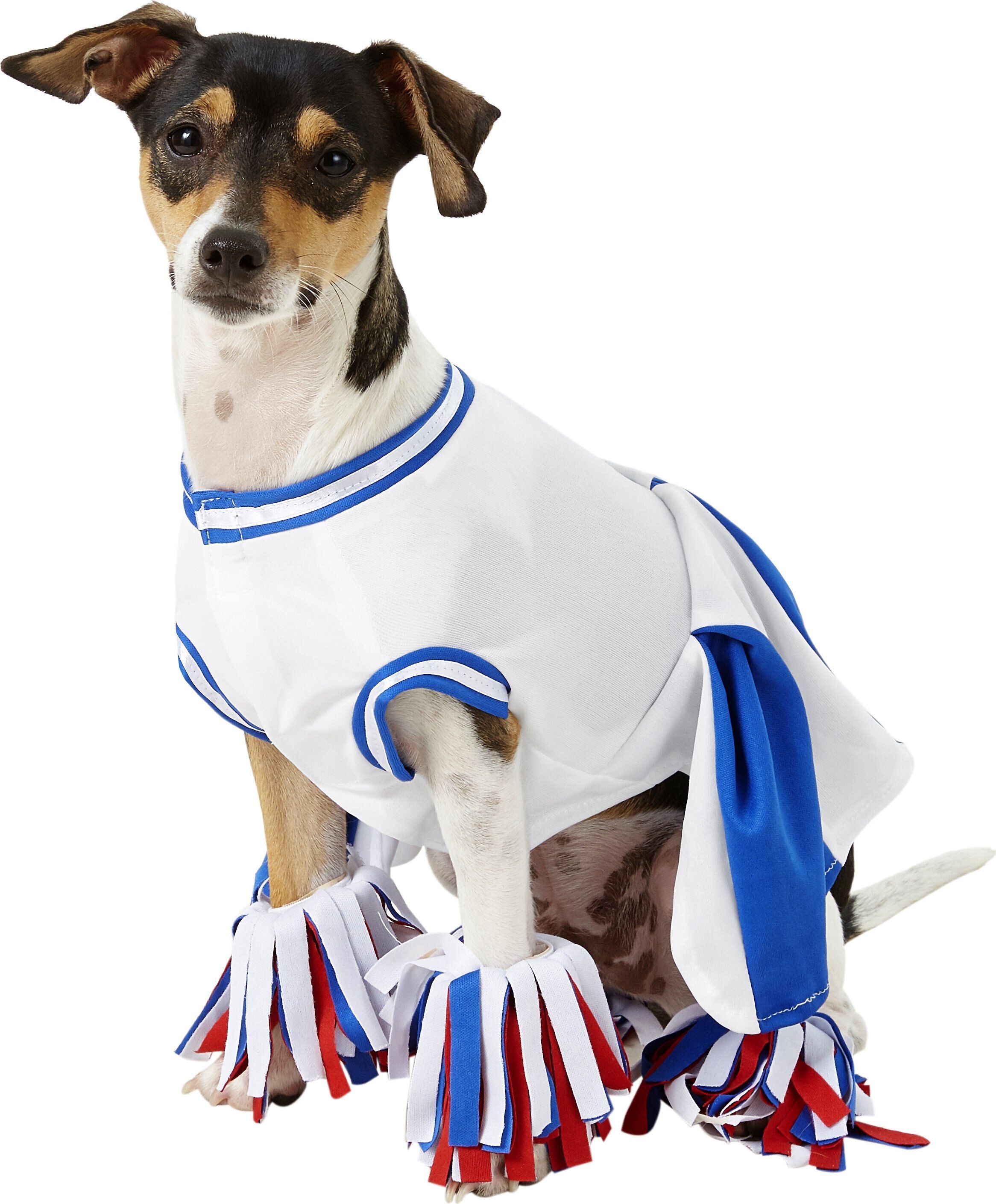 Rubie's Costume Company Baseball Player Dog Costume