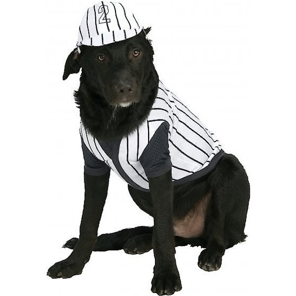  cyeollo Baseball Player Dog Costume, Comfortable Funny  Halloween Costumes for Small Dogs Cosplay Outfit Pet Clothes, Size S : Pet  Supplies