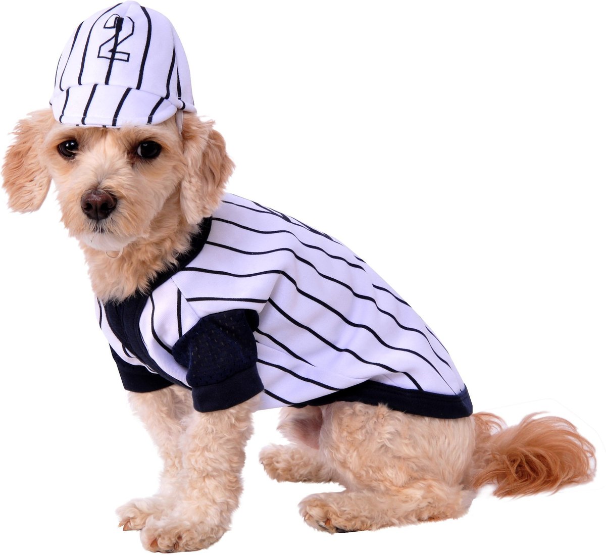 Dog hotsell baseball costume