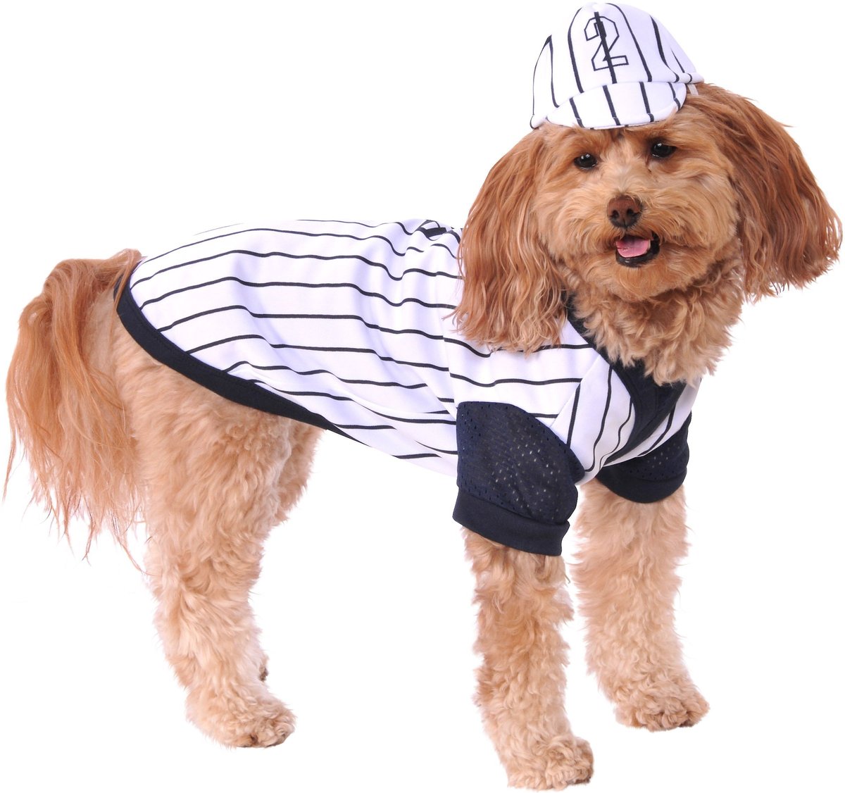 Silver Paw MLB Blue Jays Reality Dog Costume, Medium