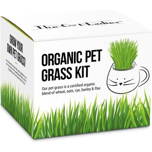 The Cat Ladies Organic Pet Grass Grow Kit with Planter, White