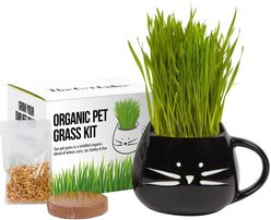 The Cat Ladies Organic Pet Grass Grow Kit with Planter, Black