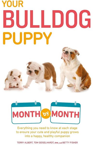 Your Bulldog Puppy Month by Month slide 1 of 1