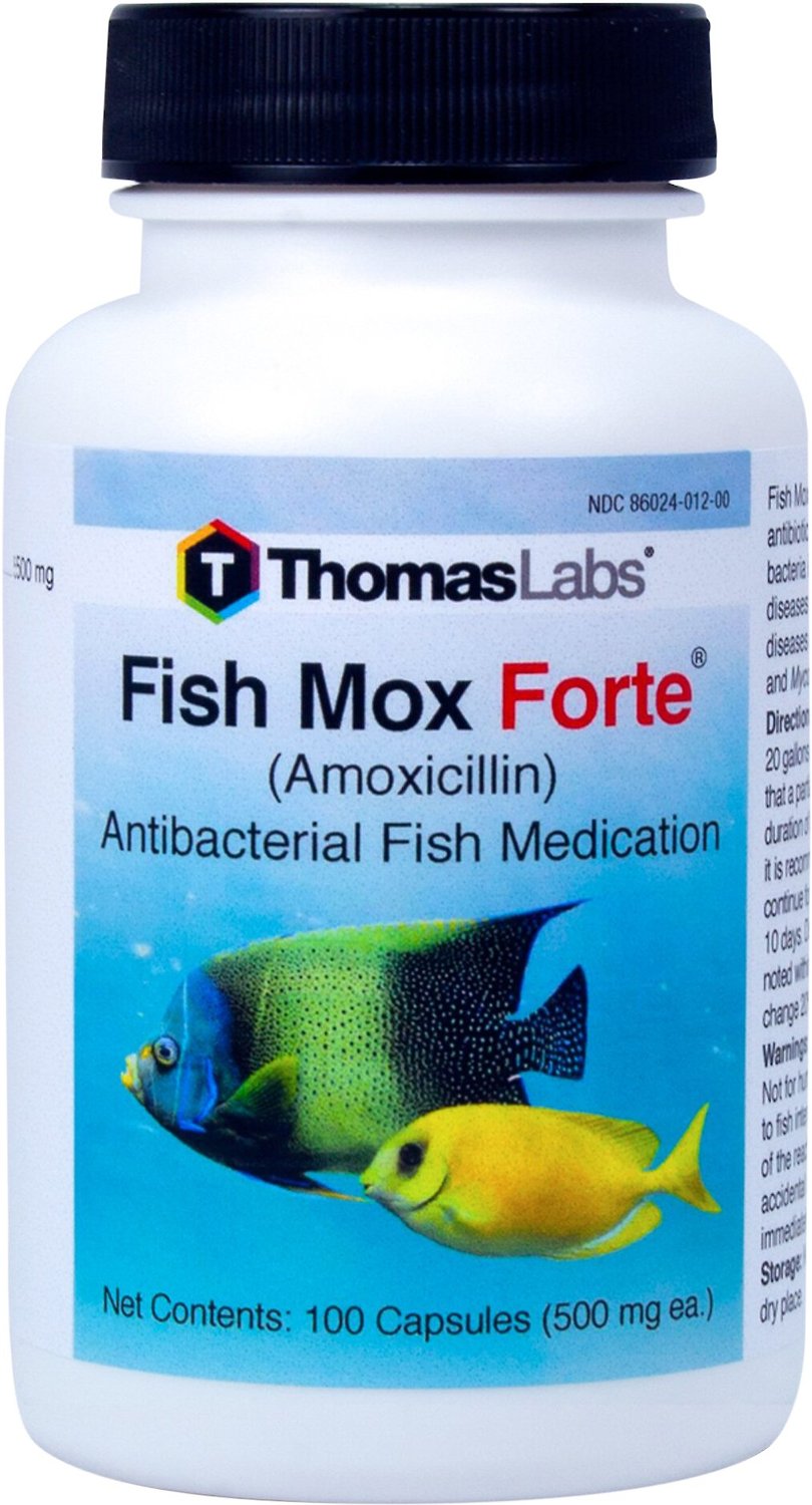 THOMAS LABS Fish Mox Forte Amoxicillin Antibacterial Fish Medication