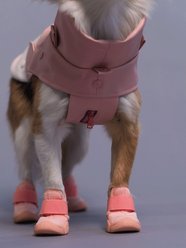 RIFRUF Caesar 1 Dog Boot, Blush, 1 slide 2 of 8