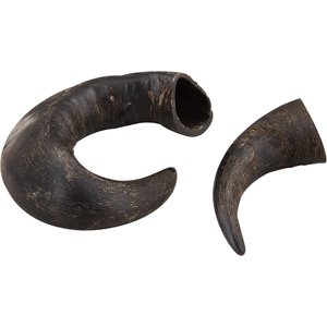 Water buffalo shop bully horn