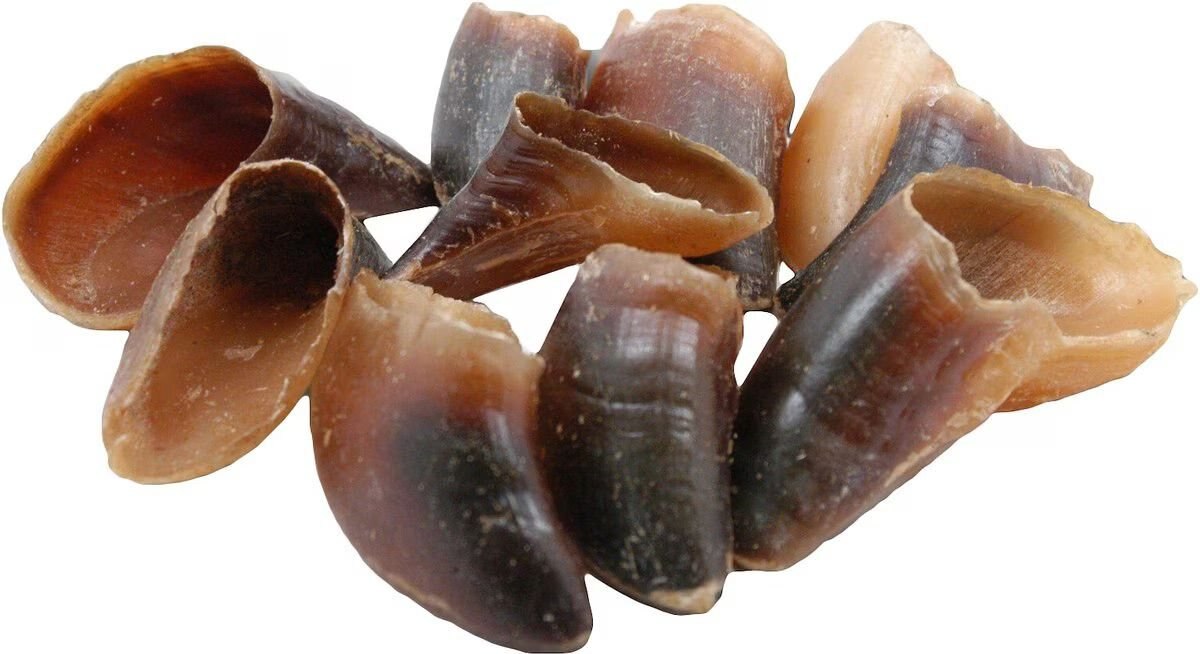 TOP DOG CHEWS Beef Hooves Dog Treats, 10 count