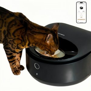 Interactive cat feeder wet food best sale