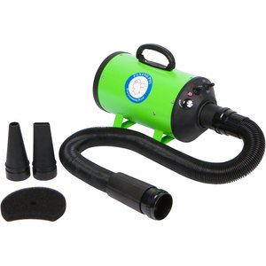 Flying Pig Grooming High Velocity Dog & Cat Grooming Dryer, Green