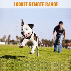 Petrainer 998DRU Waterproof Dog Training Collar slide 2 of 7