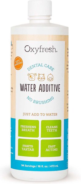 Oxyfresh Premium Cat & Dog Dental Water Additive: Best Way to Eliminate Bad Dog Breath & Cat Bad Breath, 16-oz bottle slide 1 of 11